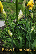 Spiral Garden Stake 31" Tall
