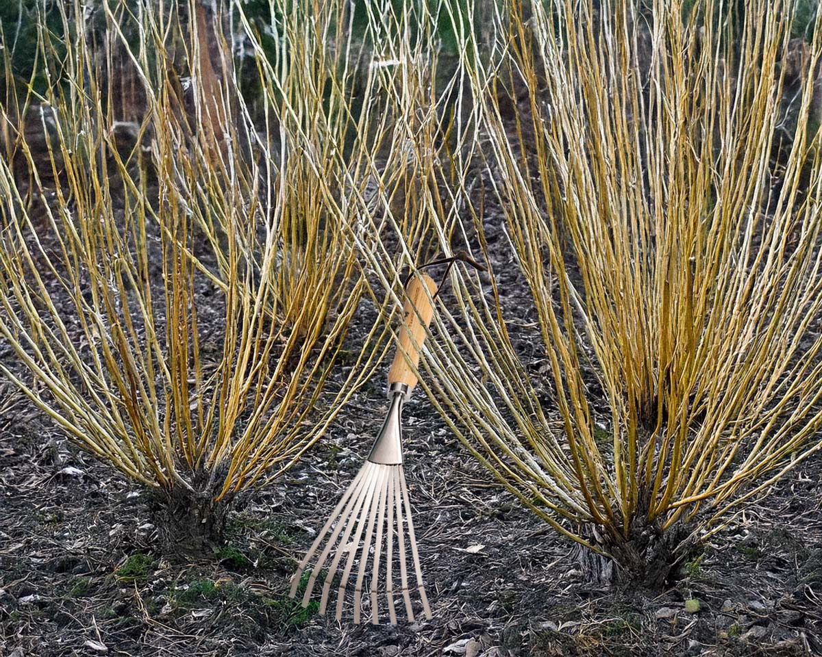 Stainless Steel 9 Tine Leaf Rake Garden Hand Tool – Tranquil Gardener