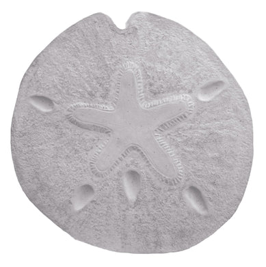 Sand Dollar Stepping Stone