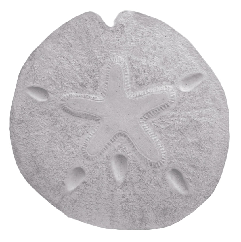Sand Dollar Stepping Stone