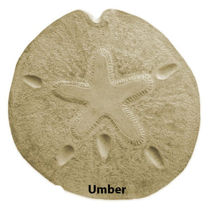 Sand Dollar Stepping Stone