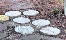 Sand Dollar Stepping Stone