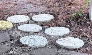 Sand Dollar Stepping Stone