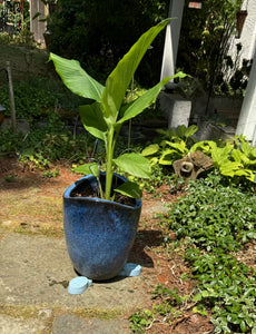 Set of Three light blue lighthouse pot feet to elevate planters off the ground for improved drainage