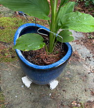 Set of Three Flower pot feet to elevate planters off the ground for improved drainage