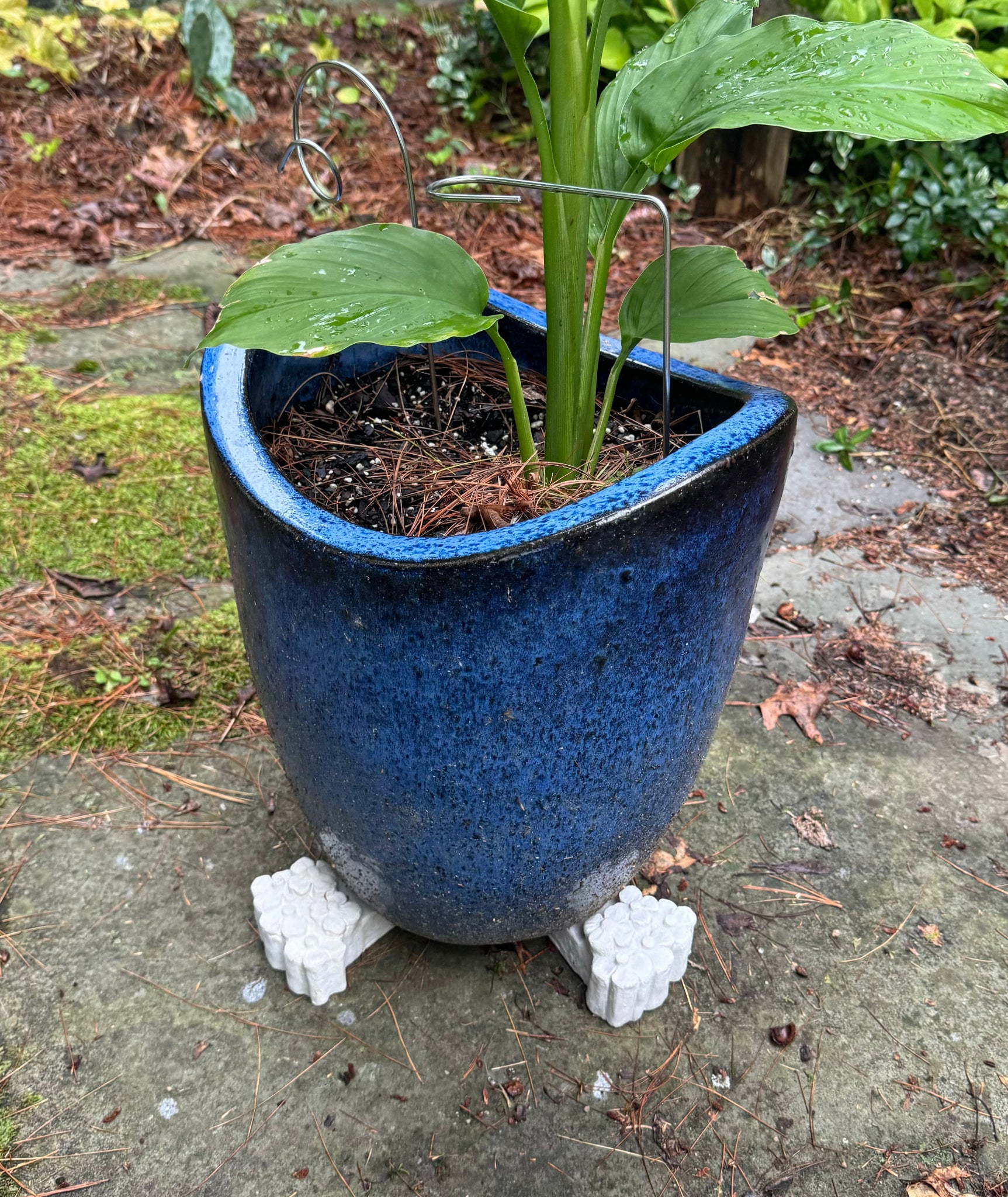 planter feet for pots Set of Three Flower pot feet to elevate planters off the ground for improved drainage White