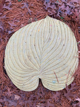 Host Leaf Stepping Stone