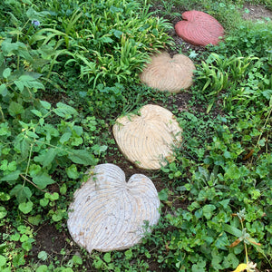 Host Leaf Stepping Stone