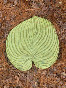 Host Leaf Stepping Stone