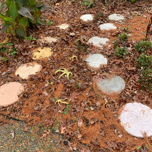 Mystic Wheel Stepping Stone