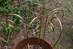 Fiddlehead Garden Stakes 35" Tall