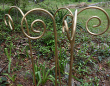 Fiddlehead Garden Stakes 35" Tall