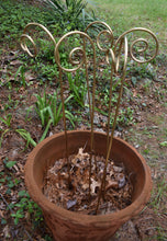 Fiddlehead Garden Stakes 35" Tall