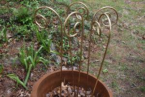 Fiddlehead Garden Stakes 35" Tall